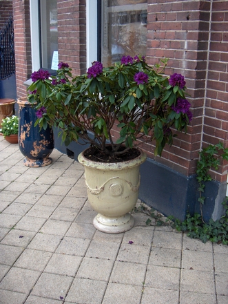 Kasteelvaas 60 cm Ivoorkleur glazuur licht verweerd