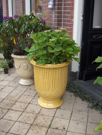 Kasteelvaas geel gestreept 69 cm