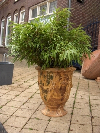 Kasteelvaas 55 cm verweerd glazuur (oud uiterlijk)