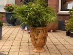 Kasteelvaas 55 cm verweerd glazuur (oud uiterlijk)